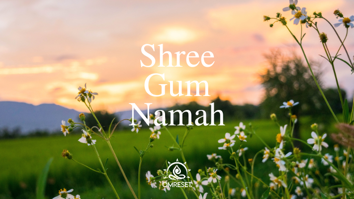 Monday Mantra~Shree Gum Namah