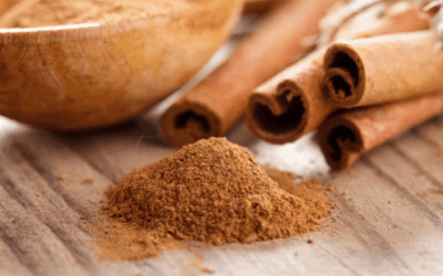 Health and Wellness 1 Exploring the Surprising Health Wonders of Cinnamon