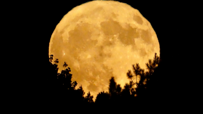 Full Moon in Aries is Bold, Loud, and Proud